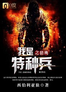 我是特種兵之獵鷹